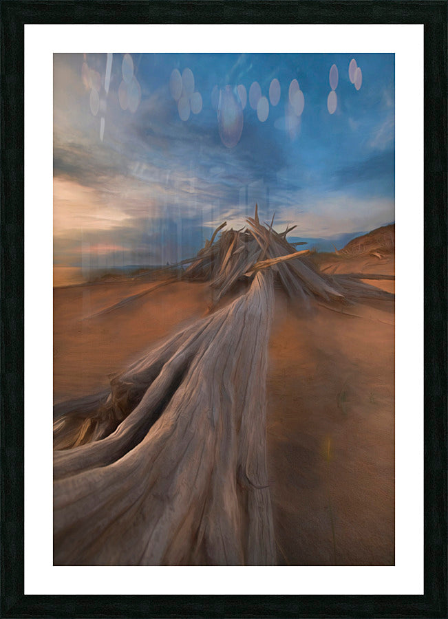 Framed Print