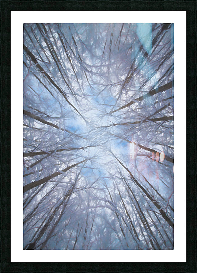 Framed Print