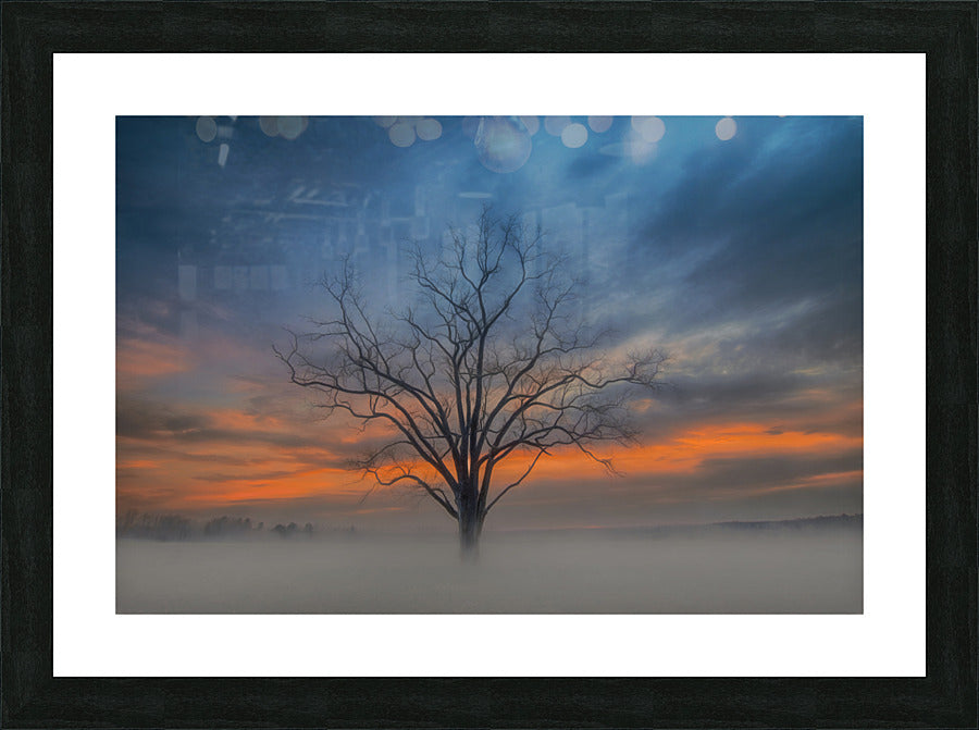 Framed Print