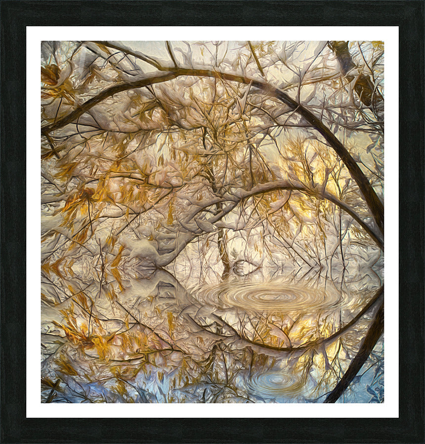 Framed Print