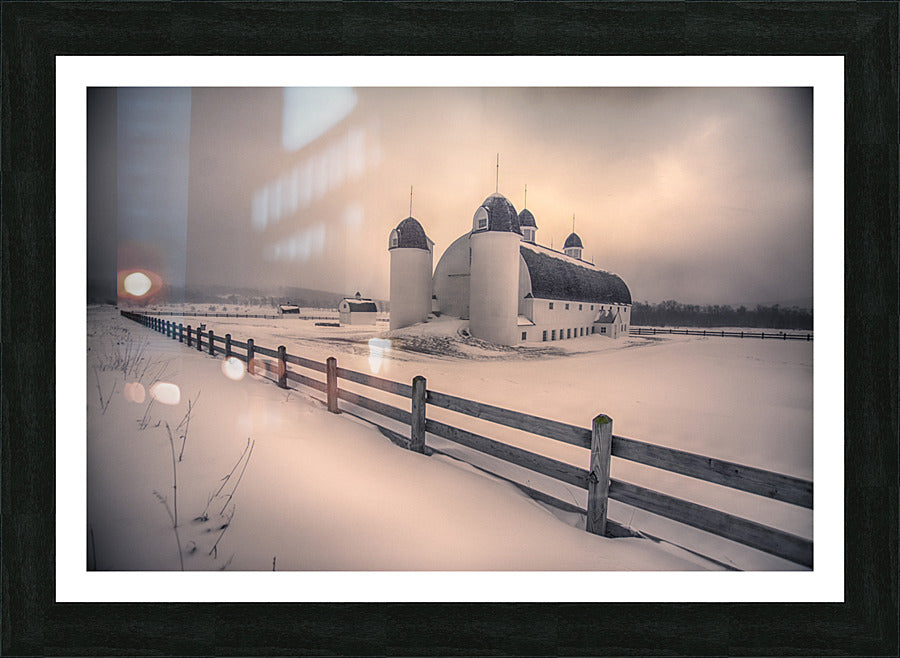 Framed Print