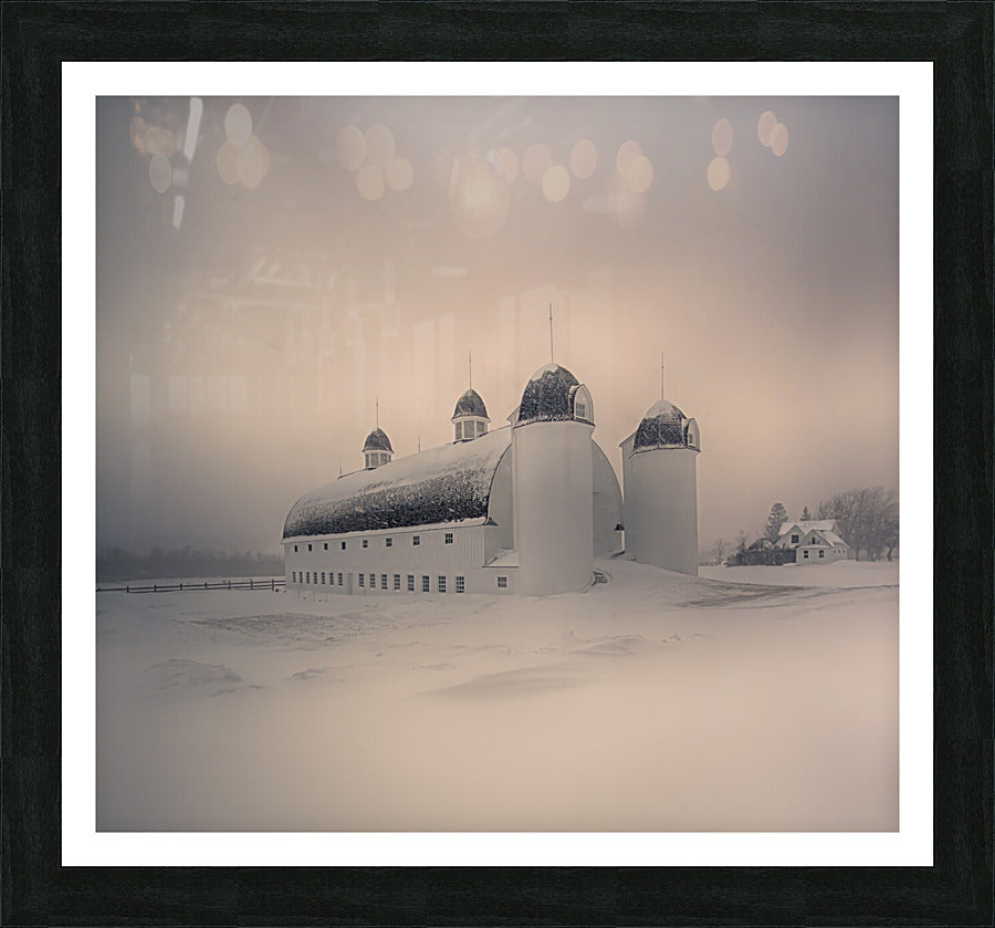 Framed Print