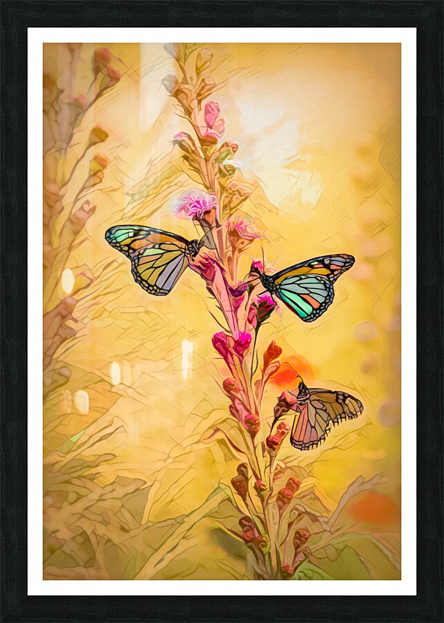 Framed Print