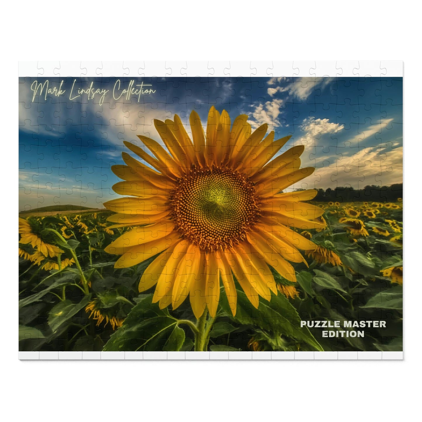 Sunflower Magic Jigsaw Puzzle Master (252, 500,1000-Piece)