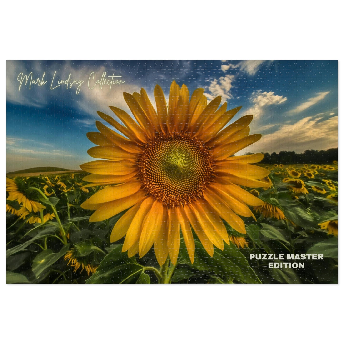 Sunflower Magic Jigsaw Puzzle Master (252, 500,1000-Piece)