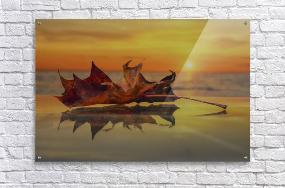 Acrylic Print
