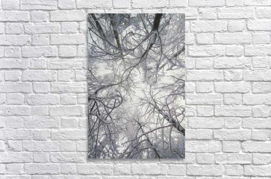 Acrylic Print
