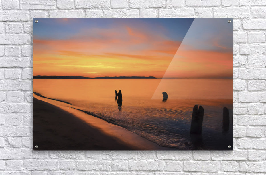 Acrylic Print