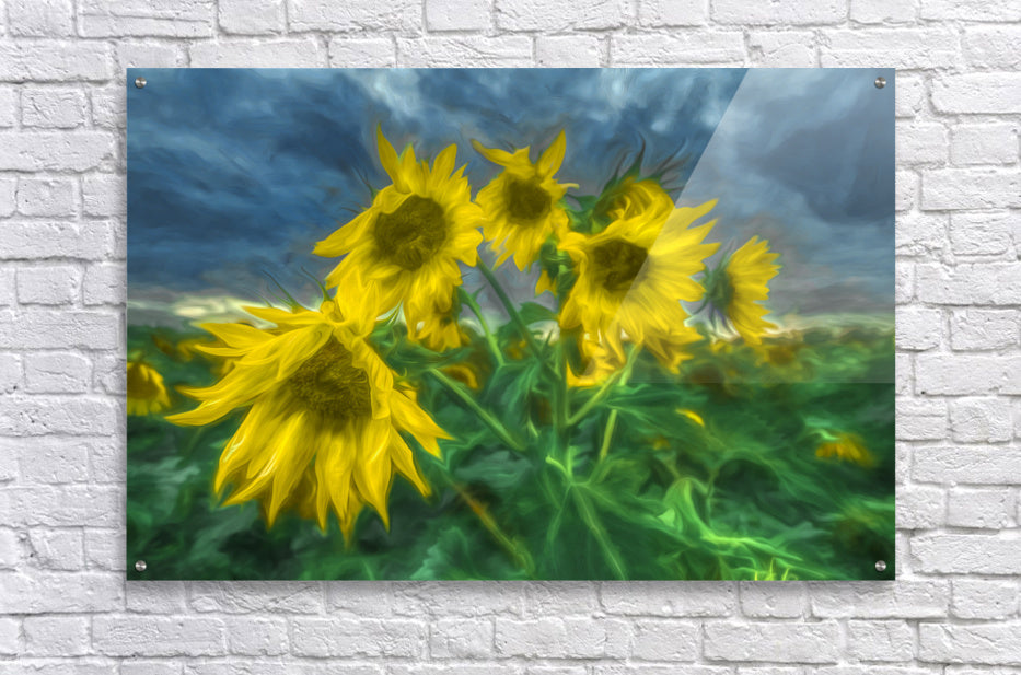 Acrylic Print