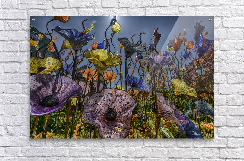 Acrylic Print