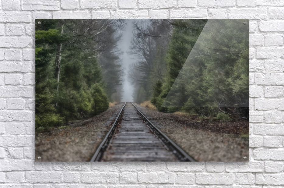 Acrylic Print