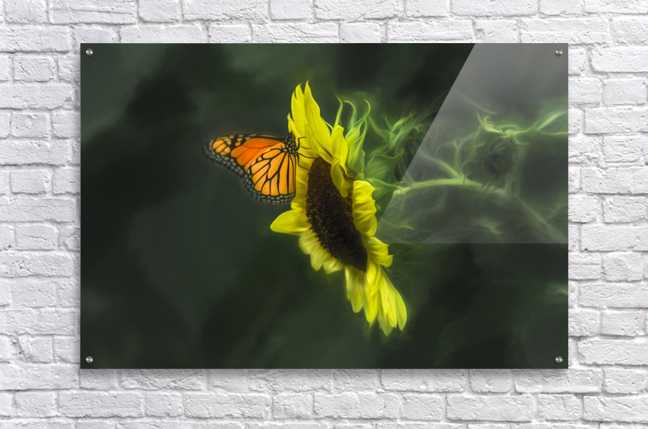 Acrylic Print