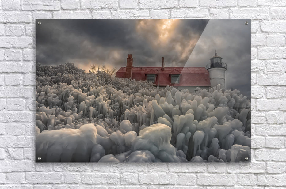 Acrylic Print