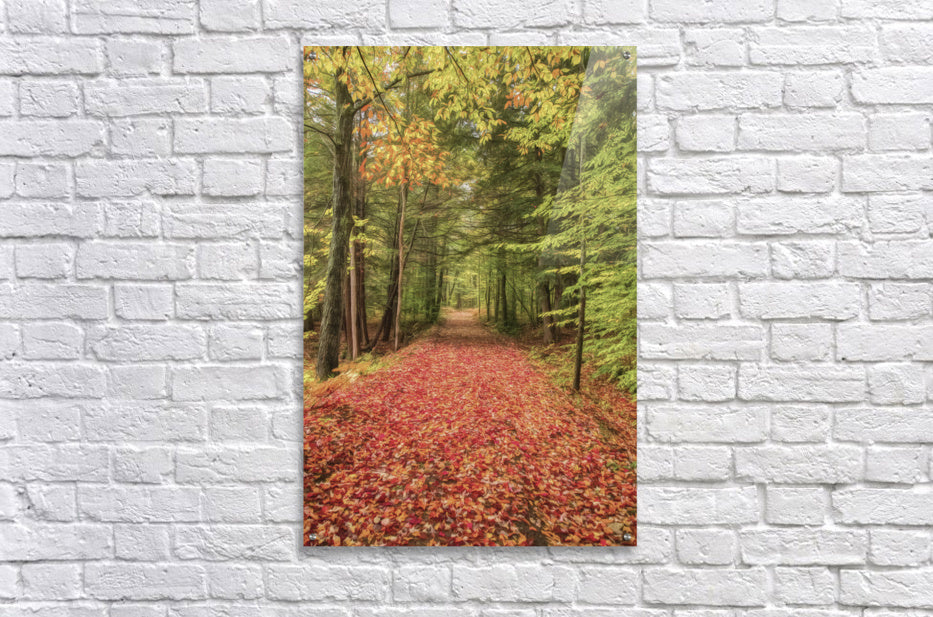 Acrylic Print
