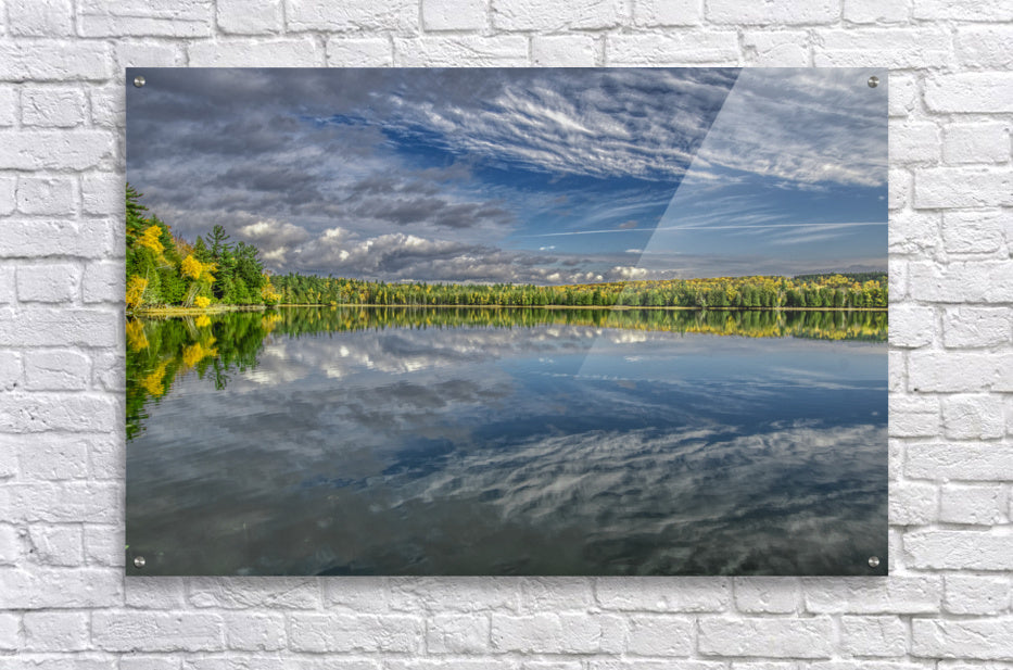 Acrylic Print