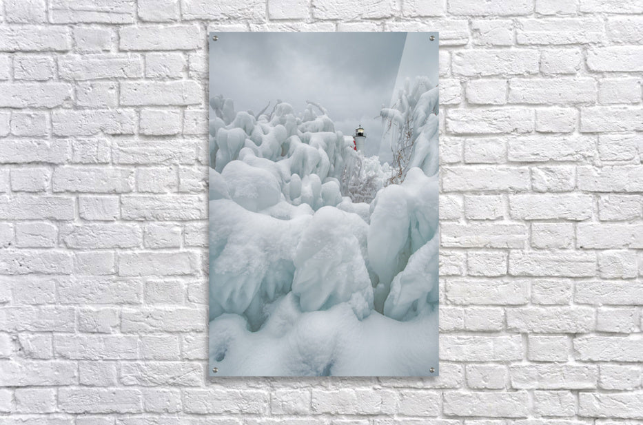 Acrylic Print