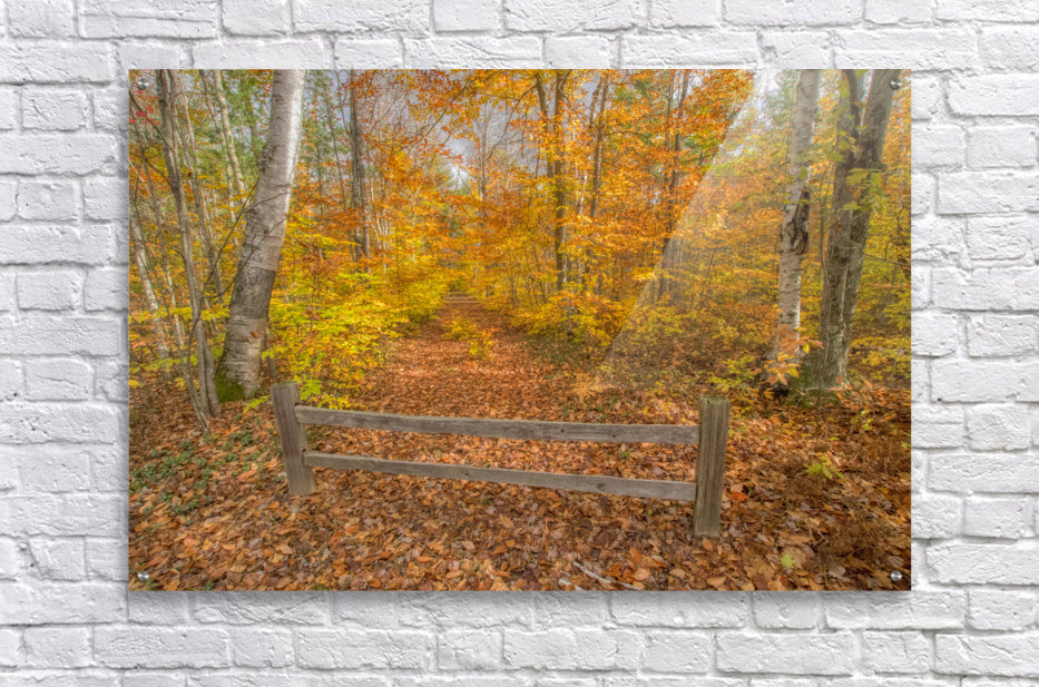 Acrylic Print
