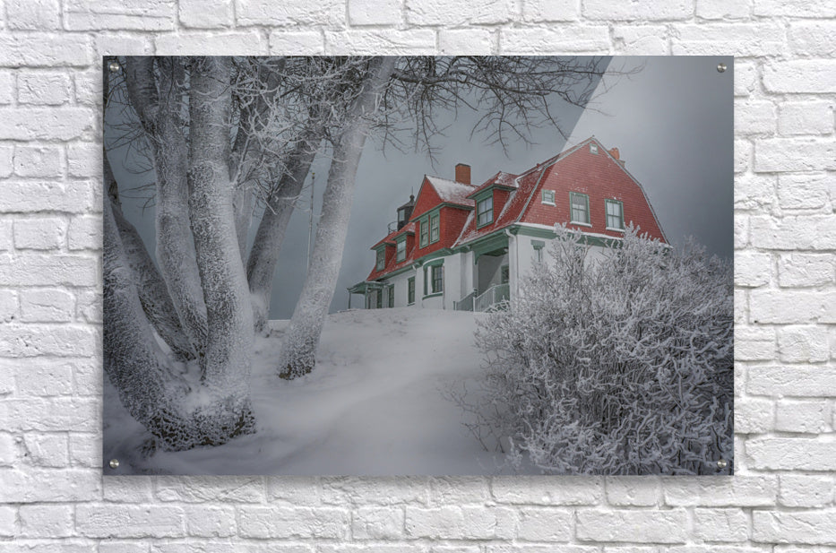 Acrylic Print
