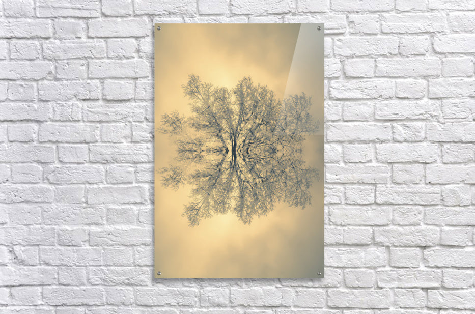 Acrylic Print