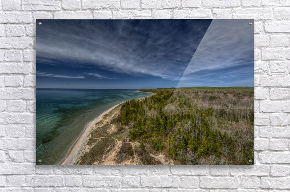 Acrylic Print