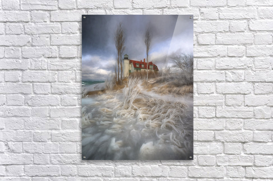 Acrylic Print