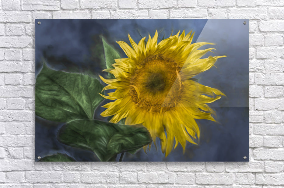 Acrylic Print