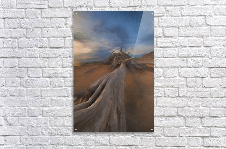 Acrylic Print