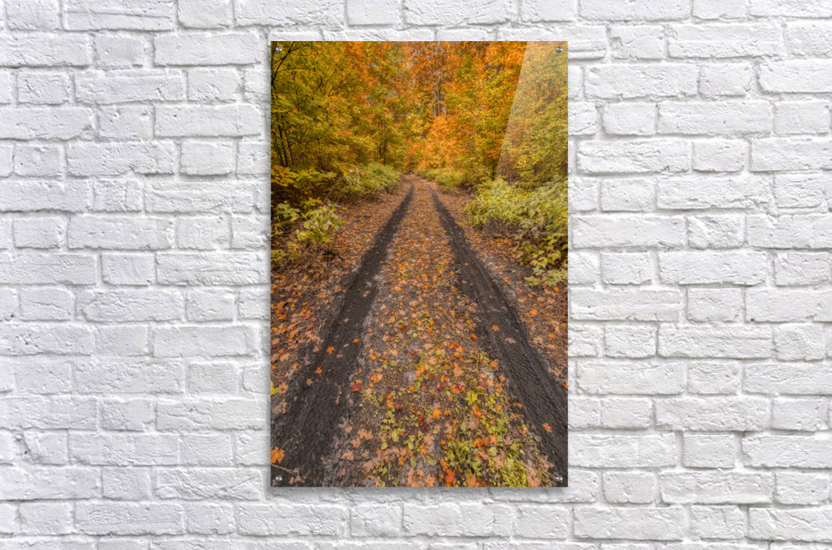 Acrylic Print