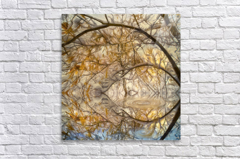 Acrylic Print
