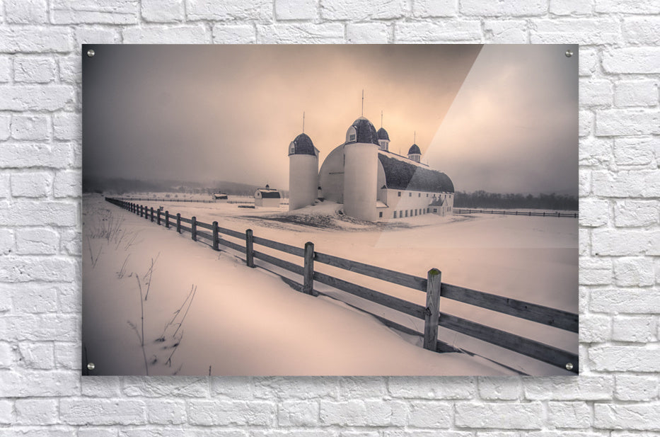 Acrylic Print