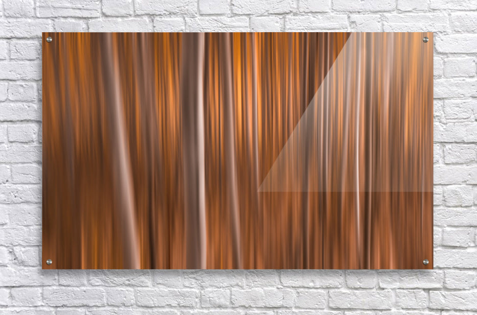 Acrylic Print