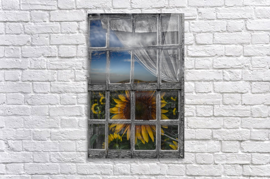 Acrylic Print