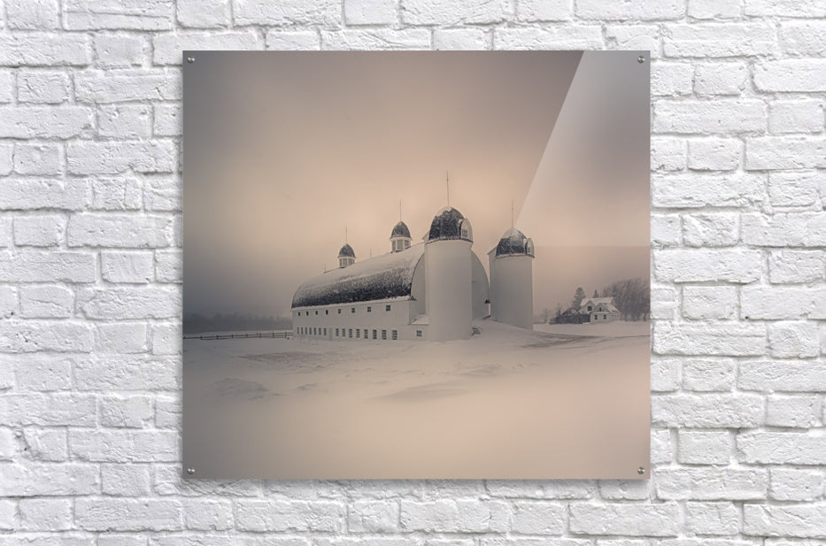 Acrylic Print
