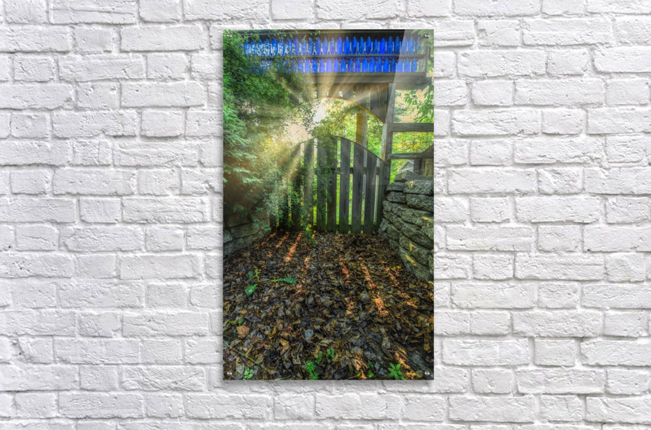 Acrylic Print