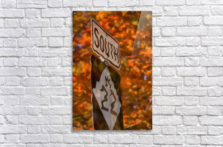 Acrylic Print