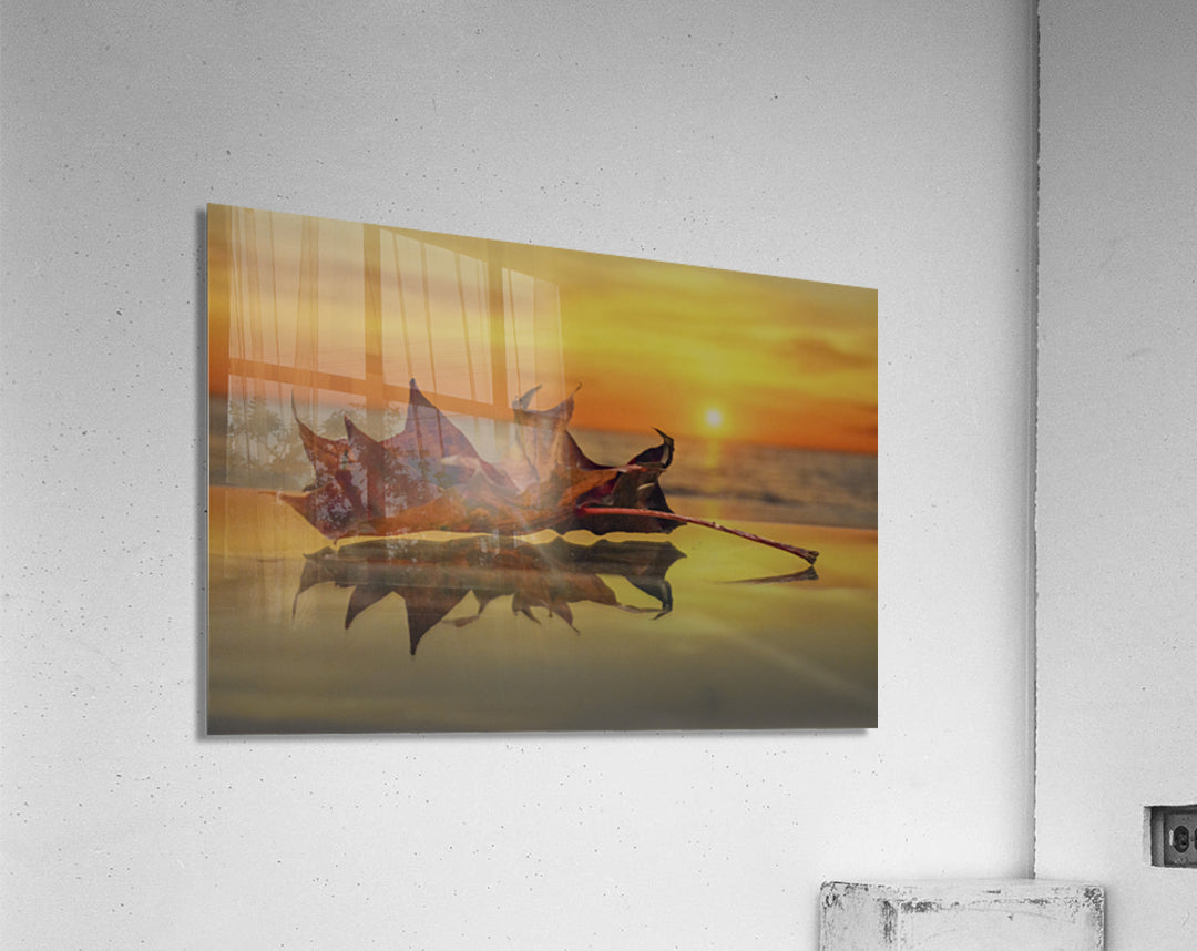 Acrylic Print