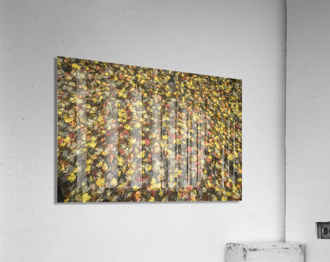 Acrylic Print