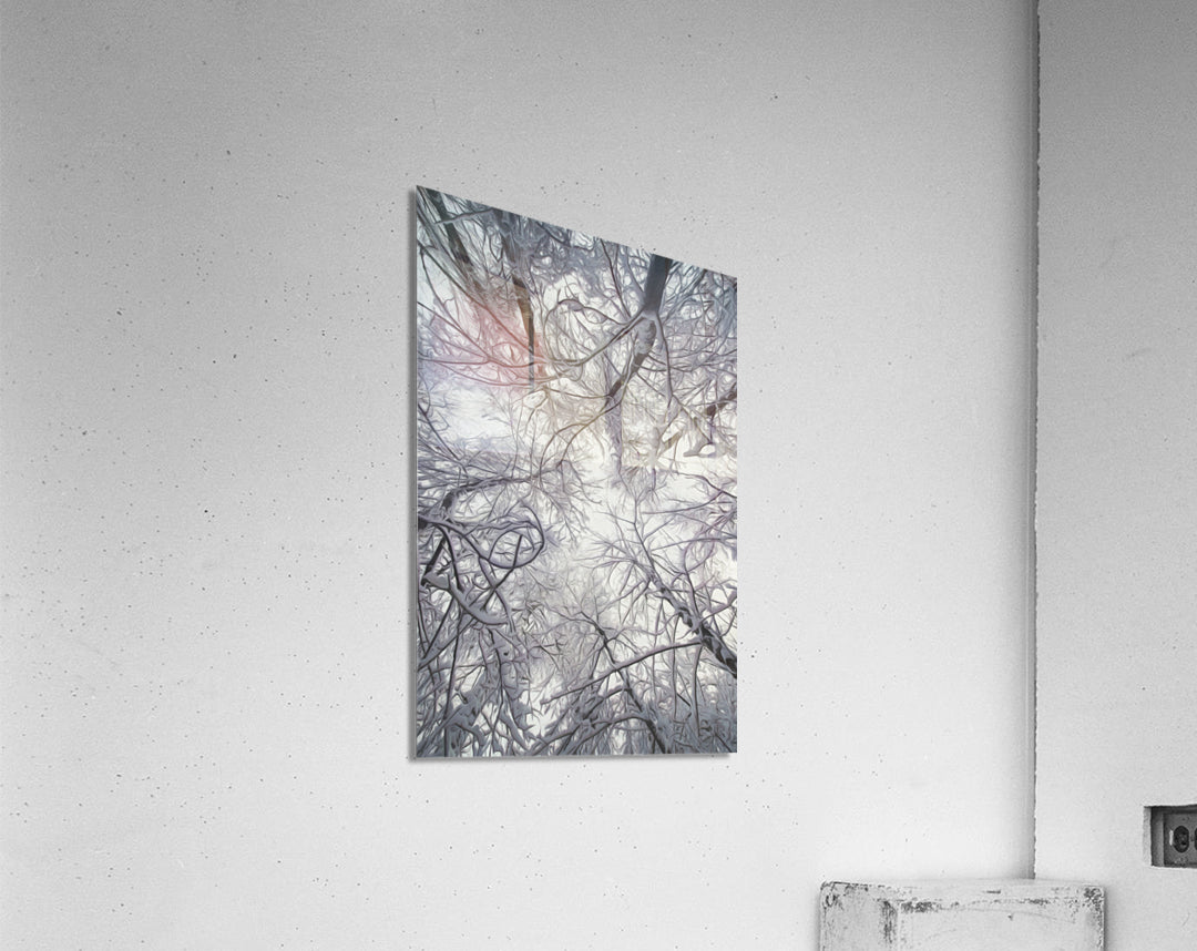 Acrylic Print