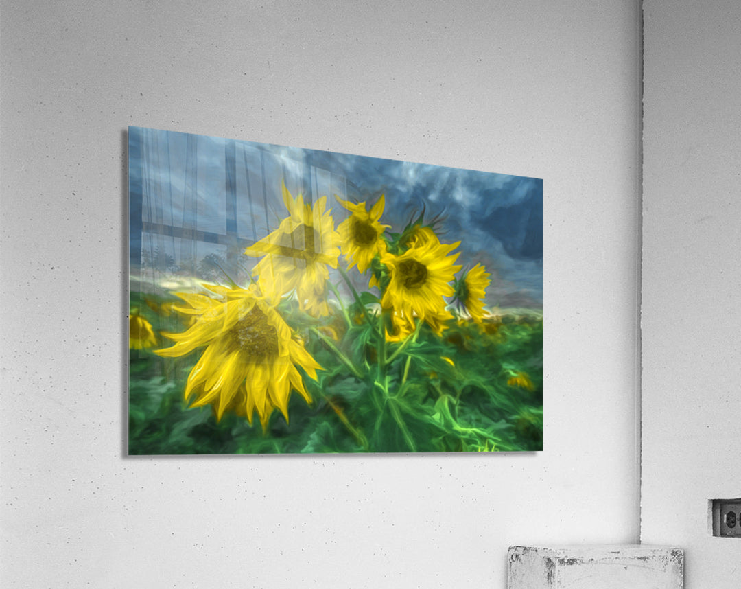 Acrylic Print