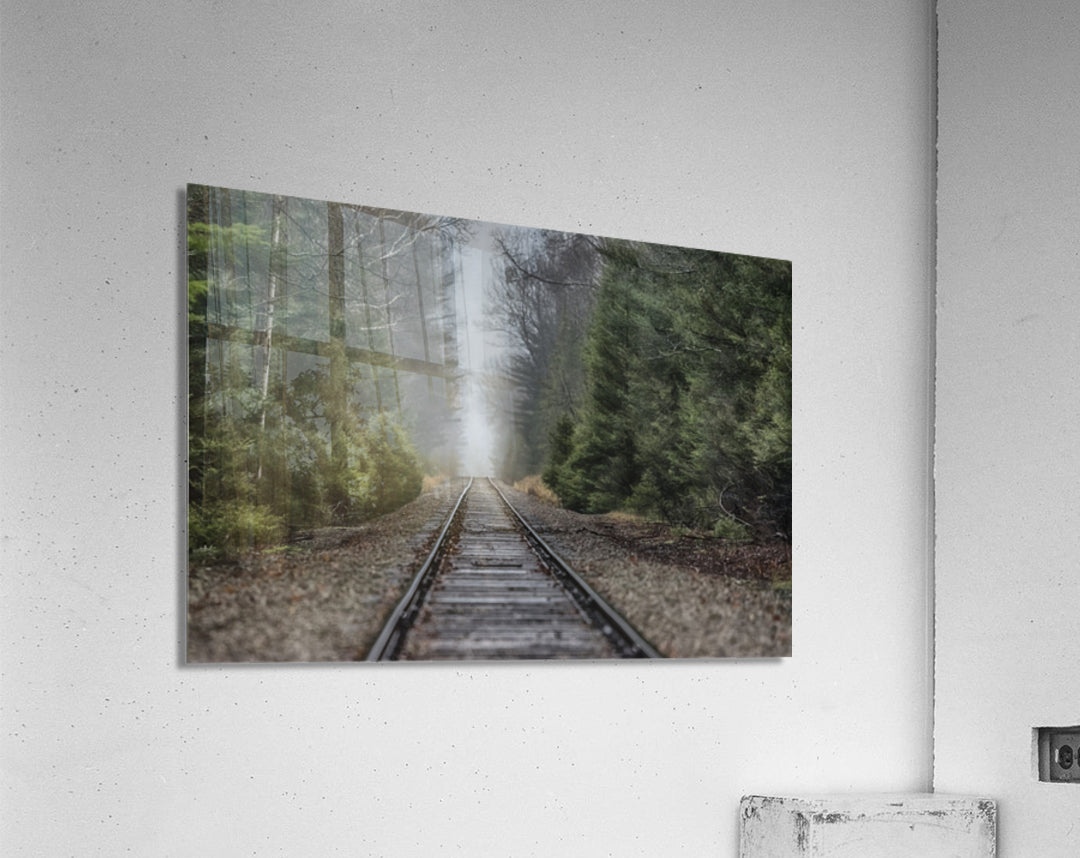 Acrylic Print