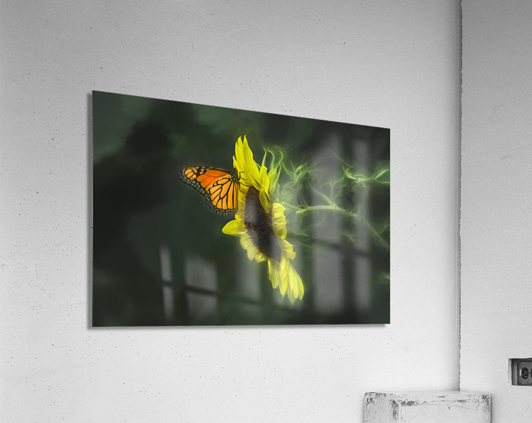 Acrylic Print