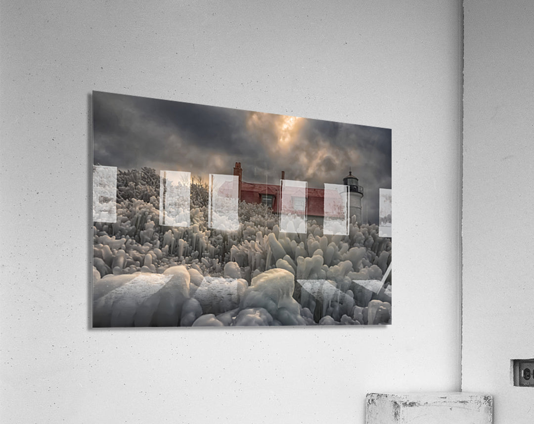 Acrylic Print