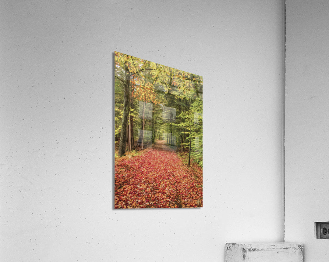Acrylic Print
