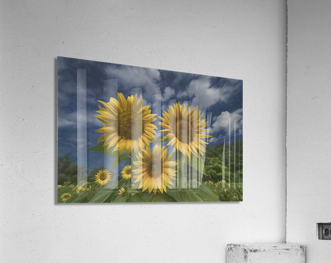 Acrylic Print