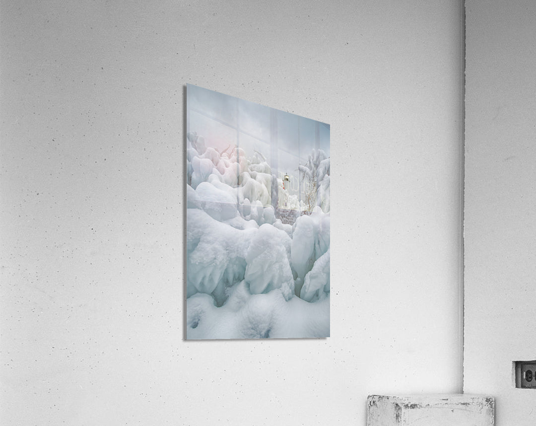 Acrylic Print