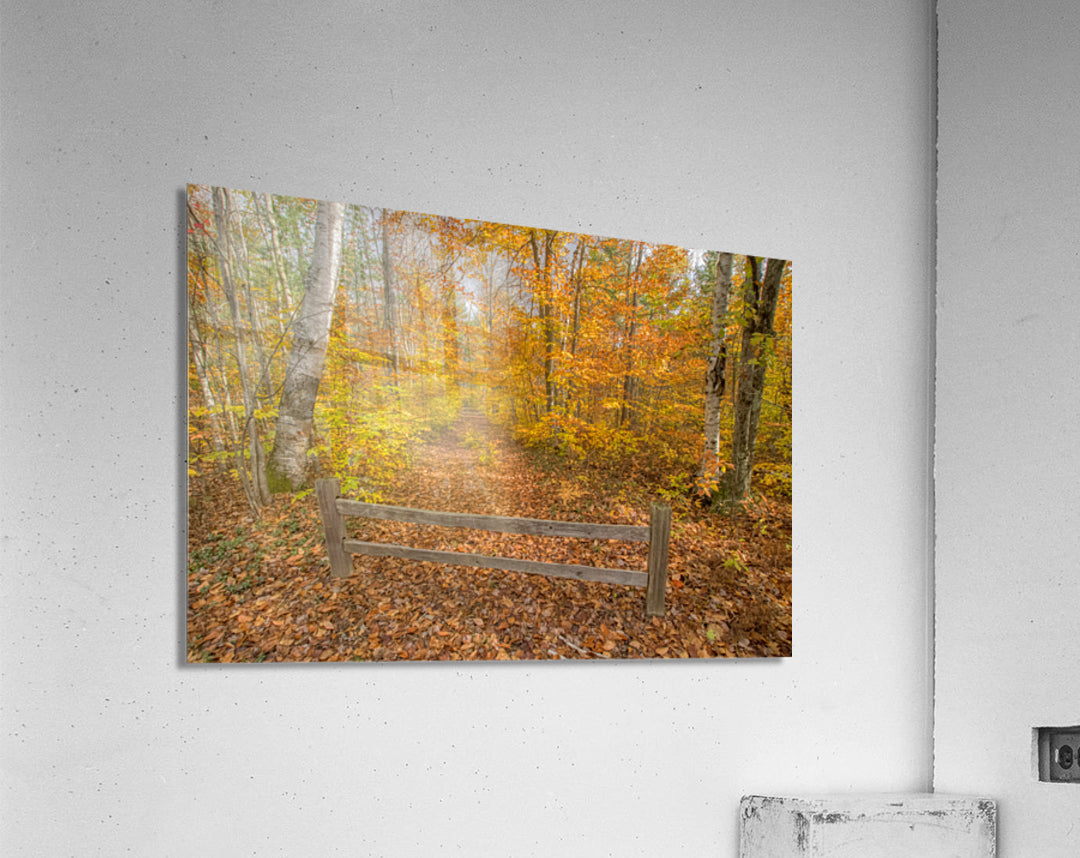 Acrylic Print