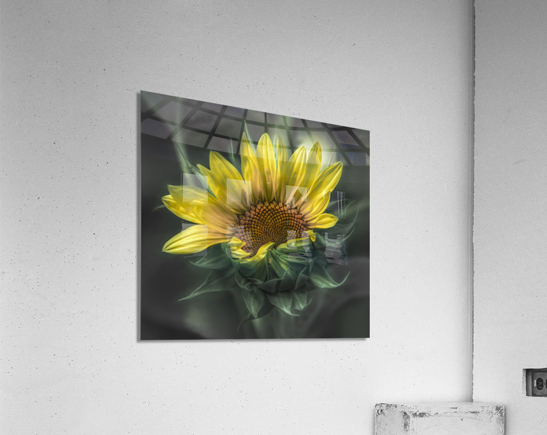 Acrylic Print
