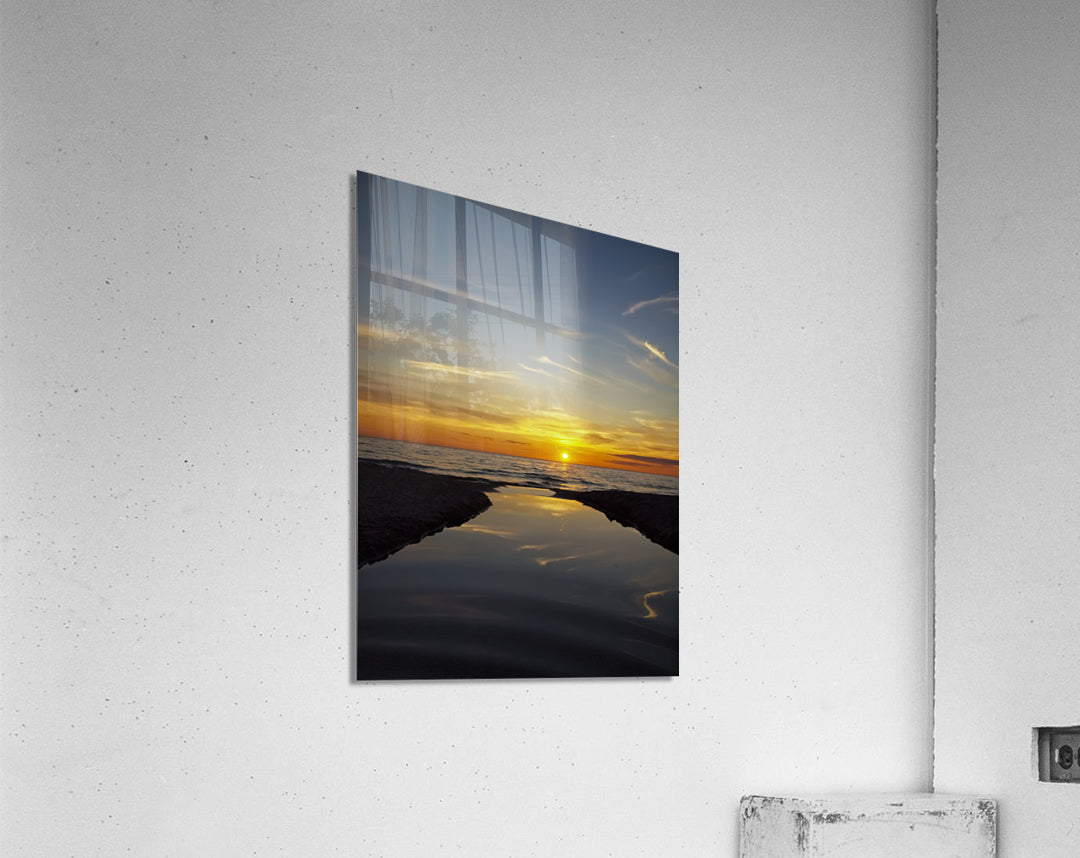 Acrylic Print