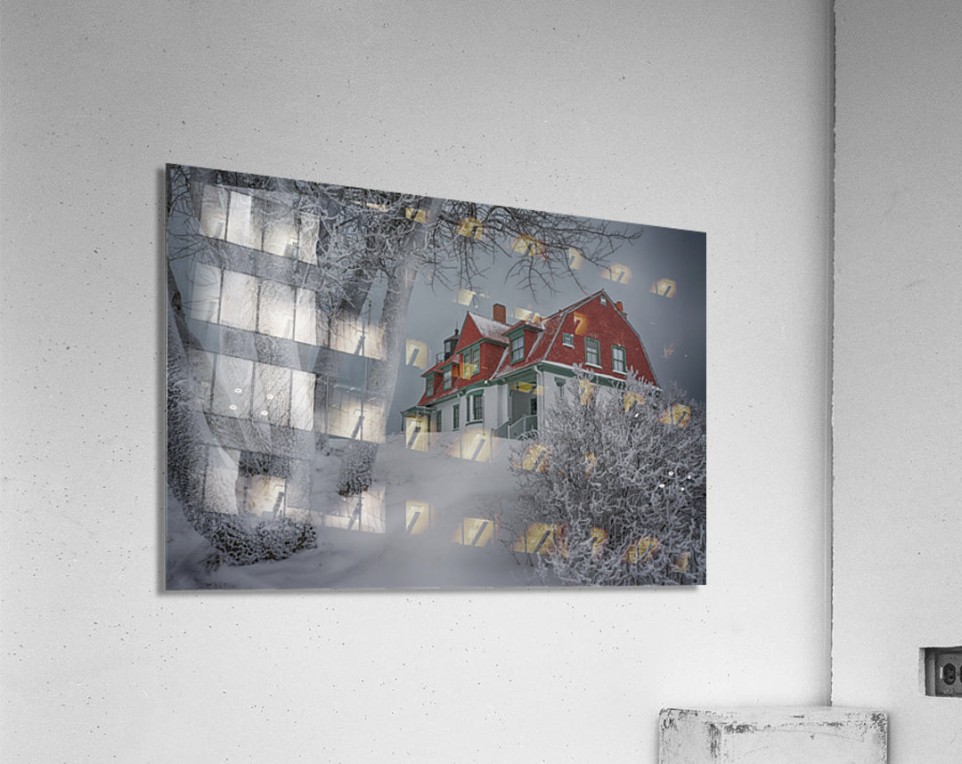 Acrylic Print