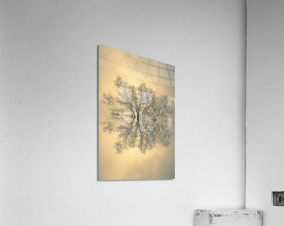 Acrylic Print